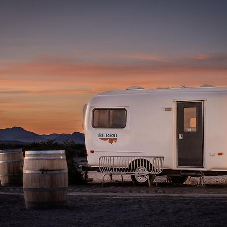 Tarantula Ranch Campground & Vineyard Near Death Valley National Park Amargosa Valley Esterno foto
