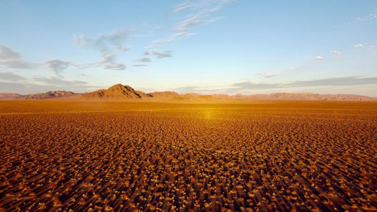 Tarantula Ranch Campground & Vineyard Near Death Valley National Park Amargosa Valley Esterno foto