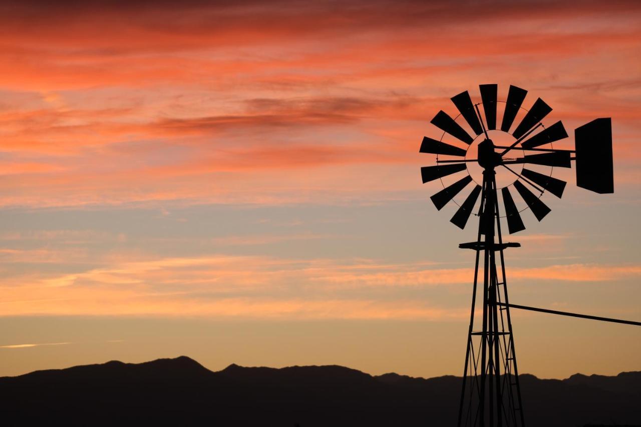 Tarantula Ranch Campground & Vineyard Near Death Valley National Park Amargosa Valley Esterno foto