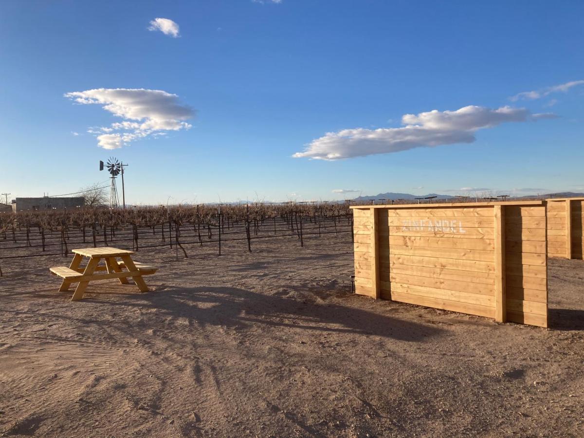 Tarantula Ranch Campground & Vineyard Near Death Valley National Park Amargosa Valley Esterno foto