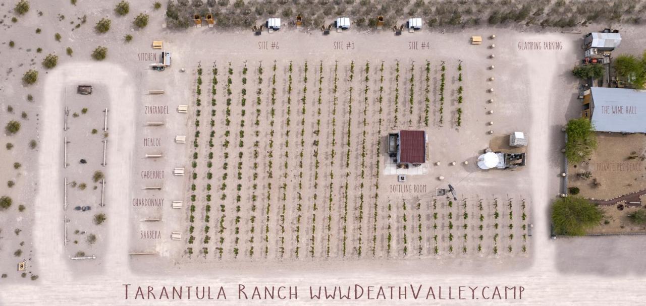 Tarantula Ranch Campground & Vineyard Near Death Valley National Park Amargosa Valley Esterno foto